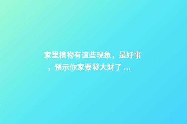 家里植物有這些現象，是好事，預示你家要發大財了！